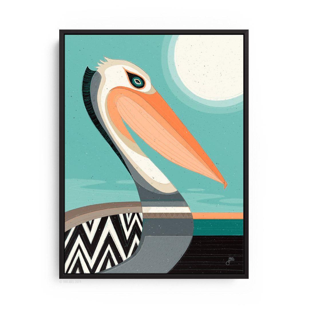 Pelecanidae - Canvas Print