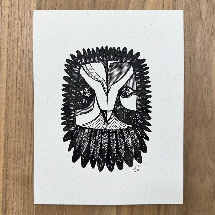 Owl Head Black & White Art on Paper