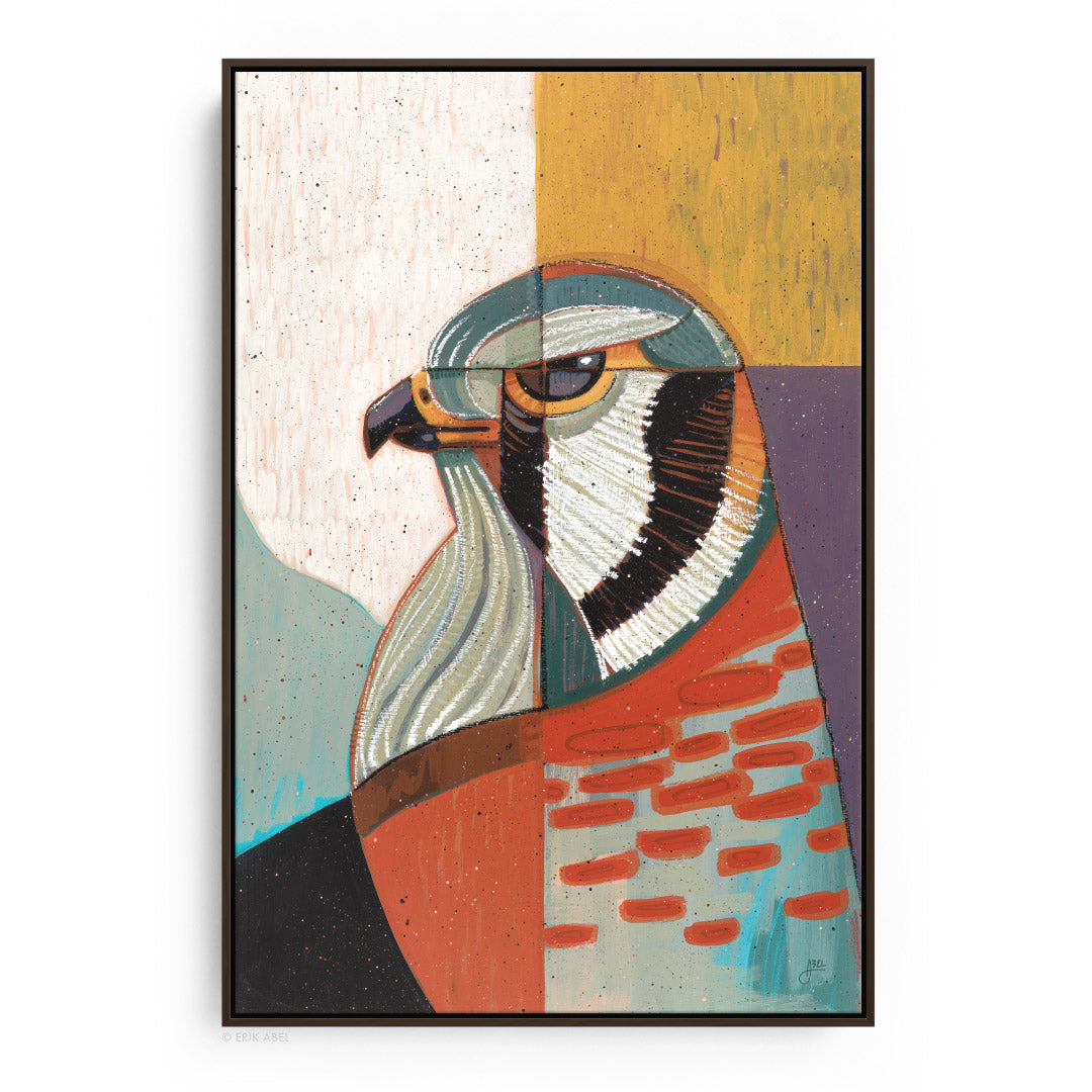 Kestrel - Print