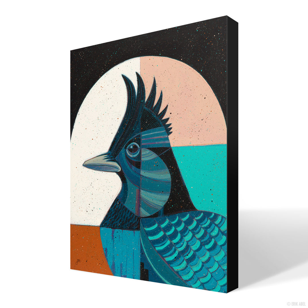 Steller's Jay - Print