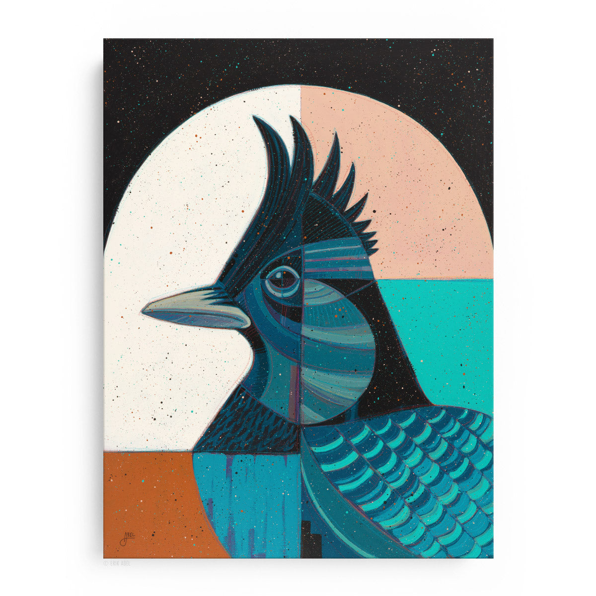 Animal Collection | Steller's Jay Art Print | Abel Arts