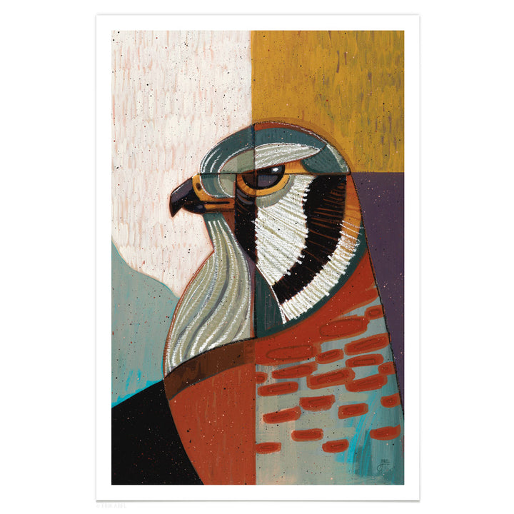 Kestrel - Print