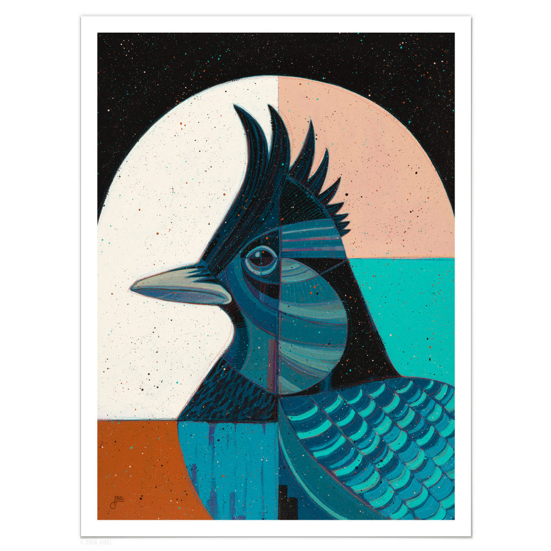 Steller's Jay - Print